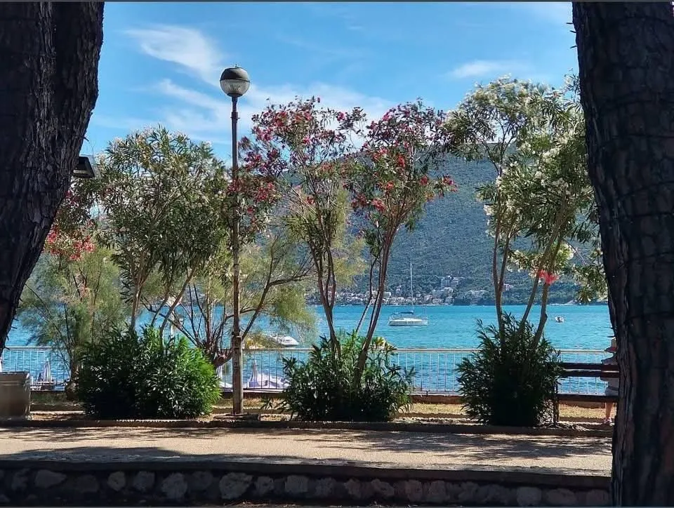 Pogled na more i zelenilo kroz drveće.