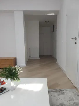 Prodaja, kuća, 255m², Petrovaradin, Novi Sad - image 4