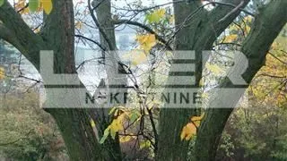 Prodaja, kuća, 42m², Krčedin, Inđija - image 11