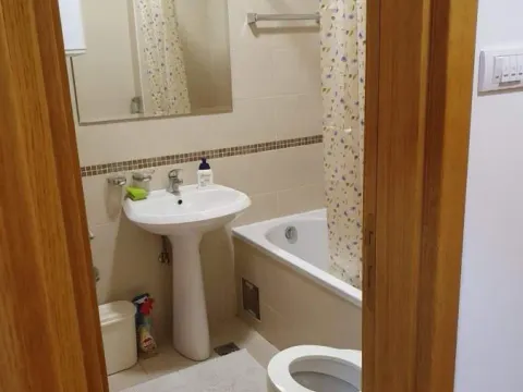 Rent, studio apartment, 26m², Grbavica, Novi Sad Sve Podlokacije - image 7