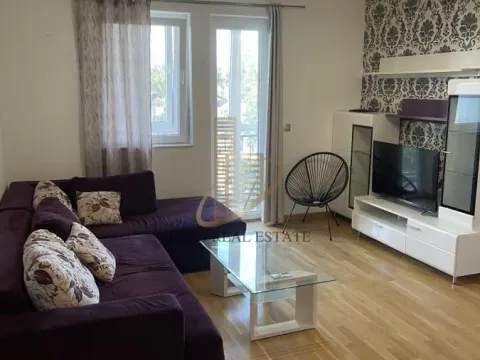 Izdavanje, dvosoban stan, 55m², Zemun Sve Podlokacije, Beograd - image 2
