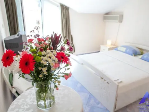 Prodaja, ugostiteljski objekat, 487m², Velji Vinogradi, Budva - image 9