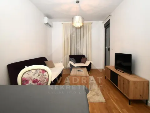 Rent, one bedroom apartment, 46m², Zabjelo, Podgorica - image 2