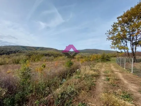 Prodaja, plac, 5850m², Koraćica, Mladenovac - image 4