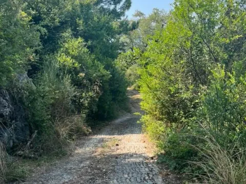 Prodaja, plac, 700m², Kavač, Kotor - image 2