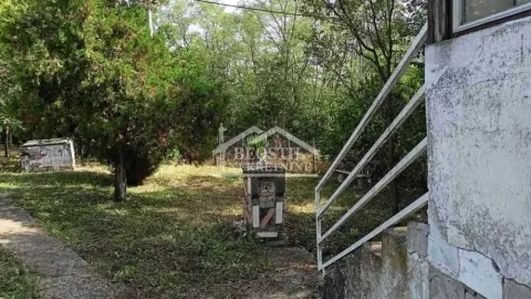 Zaraslo dvorište sa drvećem i stepeništem koje vodi ka objektu. - image 5