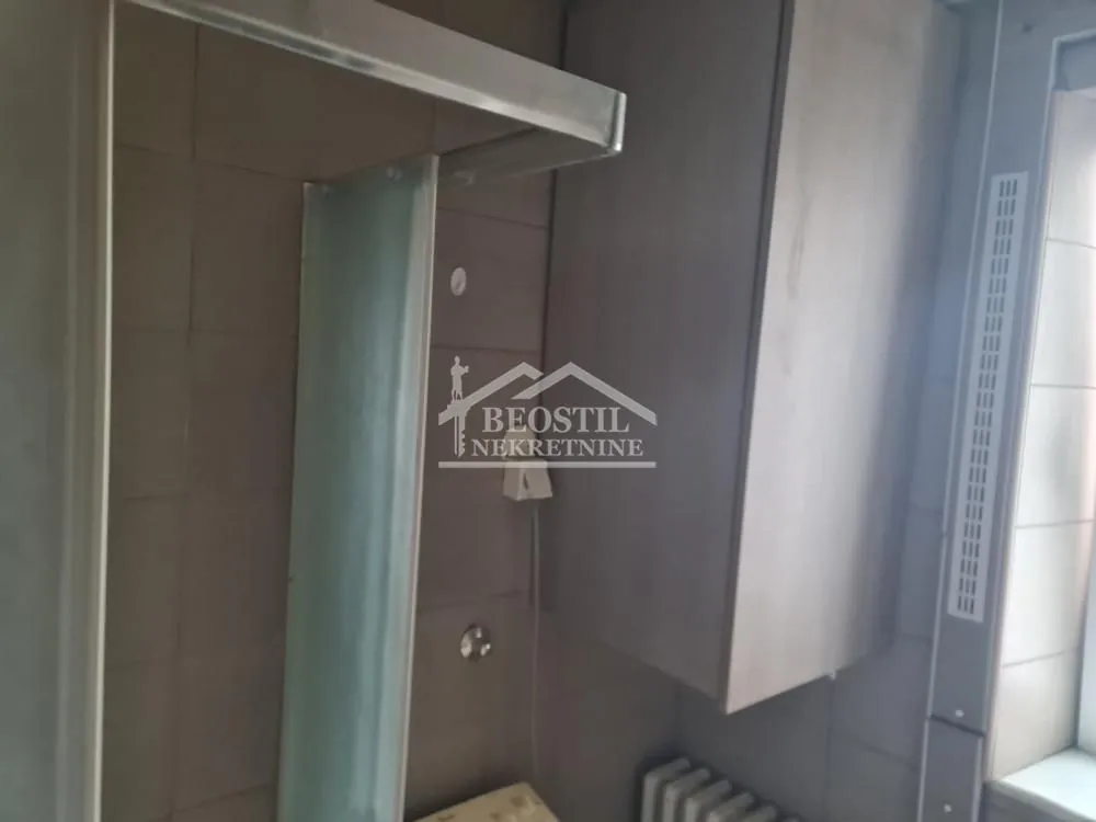 Izdavanje, dvosoban stan, 50m², Botanička Bašta, Palilula Sve Podlokacije