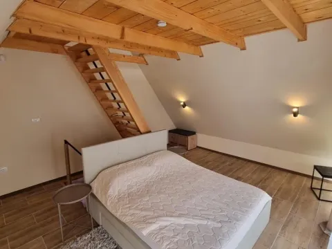 Prodaja, kuća, 46m², Sremska Kamenica, Petrovaradin - image 9