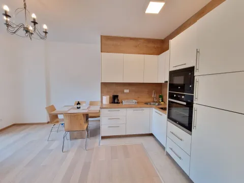 Izdavanje, jednosoban stan, 43m², Bečići, Budva - image 10