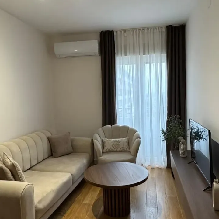 Izdavanje, jednosoban stan, 43m², Central Point, Podgorica