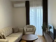 Izdavanje, jednosoban stan, 43m², Central Point, Podgorica - image 1
