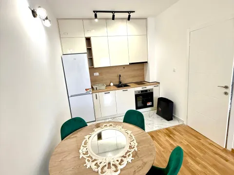 Izdavanje, jednosoban stan, 46m², Zagorič, Podgorica - image 7