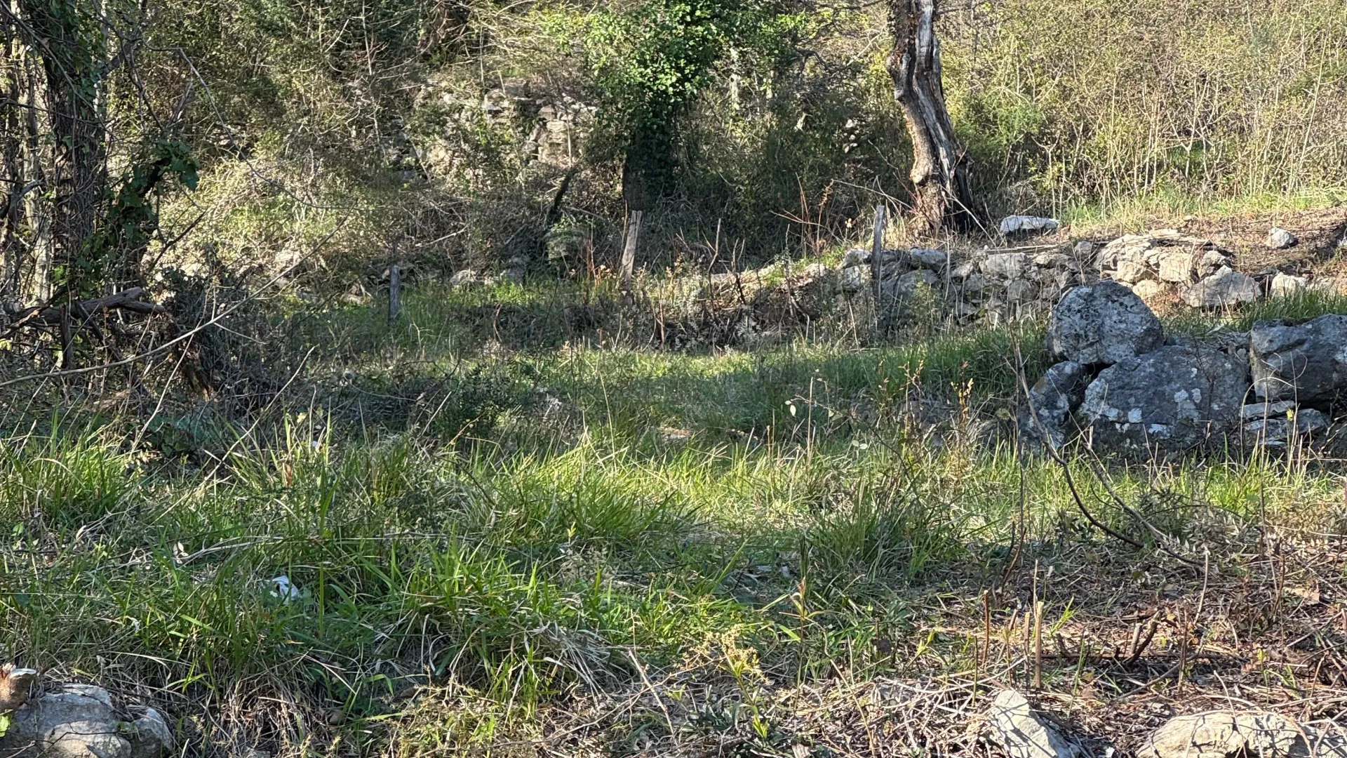Prodaja, plac, 610m², Sasovići, Herceg Novi