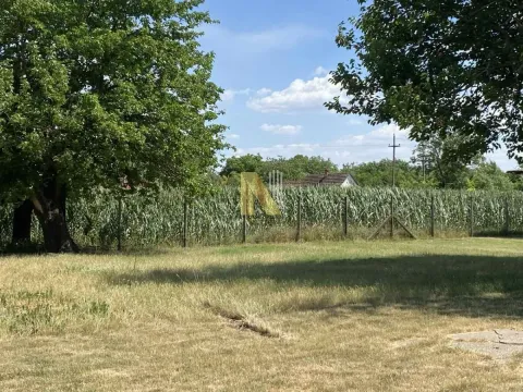 Prodaja, plac, 8023m², Bečej, Novi Sad - image 5