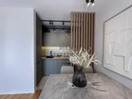 Izdavanje, jednosoban stan, 40m², Zabjelo, Podgorica - image 13