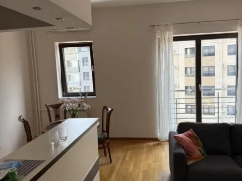 Rent, one bedroom apartment, 56m², Vračar Sve Podlokacije, Beograd - image 4