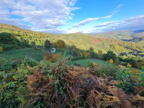 Sale, house, 42m², Mojkovac, Crna Gora - image 3