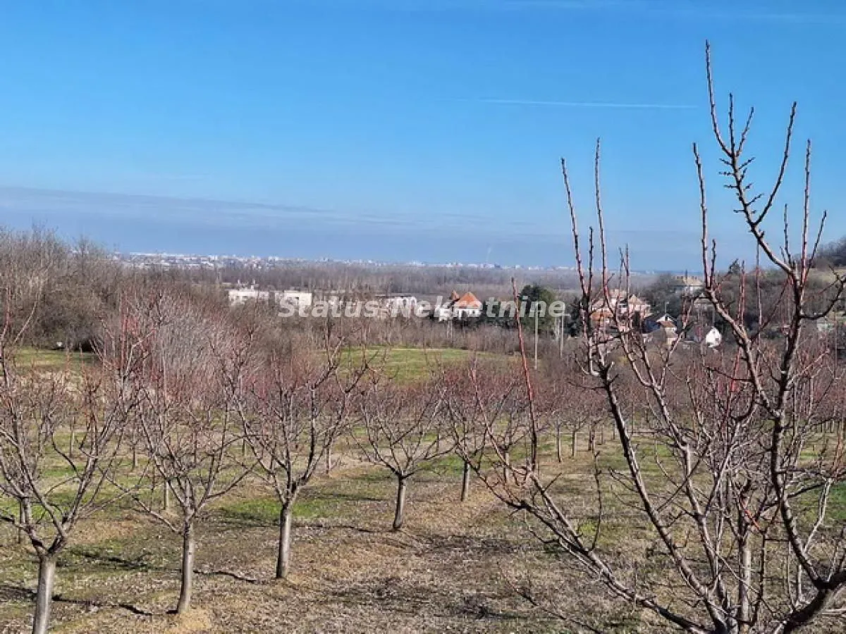 Prodaja, plac, 7500m², Beočin, Srbija