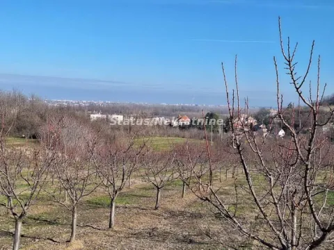 Prodaja, plac, 7500m², Beočin, Srbija - image 3