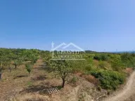 Prodaja, plac, Mali Mokri Lug, Zvezdara Sve Podlokacije - image 4