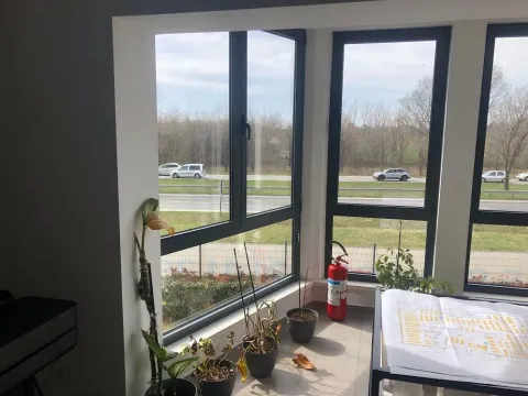 Izdavanje, poslovni prostor, 1600m², Zemun Sve Podlokacije, Beograd - image 9