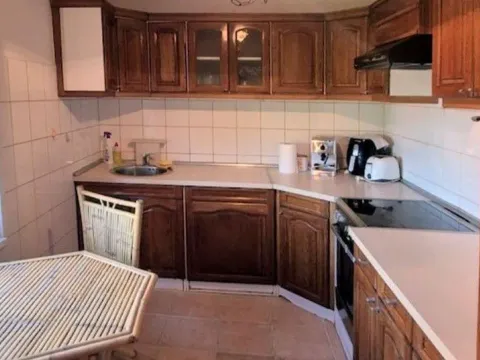 Prodaja, kuća, 380m², Šanac, Loznica - image 17