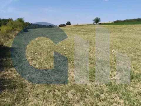 Prodaja, plac, 5000m², Nenadovac, Barajevo - image 7