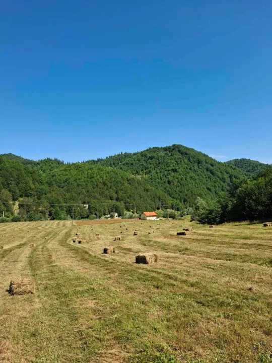 Sale, land lot, 7000m², Veruša, Podgorica