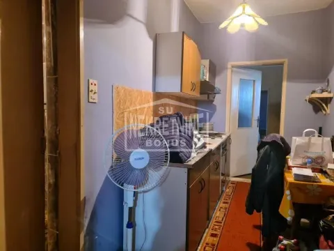 Prodaja, kuća, 316m², Palić, Subotica - image 7