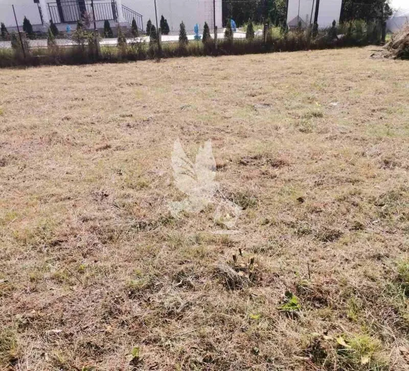 Prodaja, plac, 700m², Mladenovac selo, Mladenovac