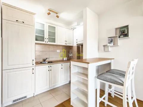 Izdavanje, garsonjera, 27m², Stari Aerodrom, Podgorica - image 3