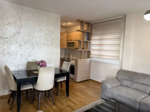 Izdavanje, jednosoban stan, 48m², Nova Dalmatinska, Podgorica - image 3