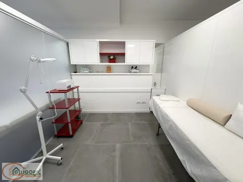 Izdavanje, poslovni prostor, 60m², Južni Bulevar, Vračar Sve Podlokacije - image 4