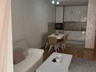 Prodaja, jednosoban stan, 48m², Tuški Put, Podgorica - image 1