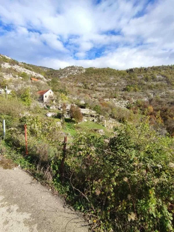 Prodaja, plac, 26000m², Cetinje, Crna Gora