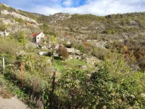 Prodaja, plac, 26000m², Cetinje, Crna Gora - image 2