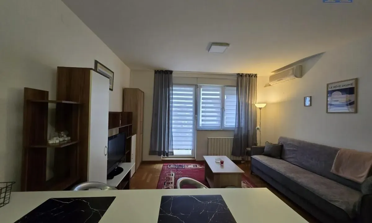 Rent, studio apartment, 30m², Cara Dušana, Novi Sad Sve Podlokacije