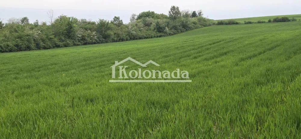 Prodaja, plac, 44100m², Sopot, Beograd