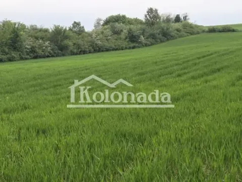 Prodaja, plac, 44100m², Sopot, Beograd - image 5