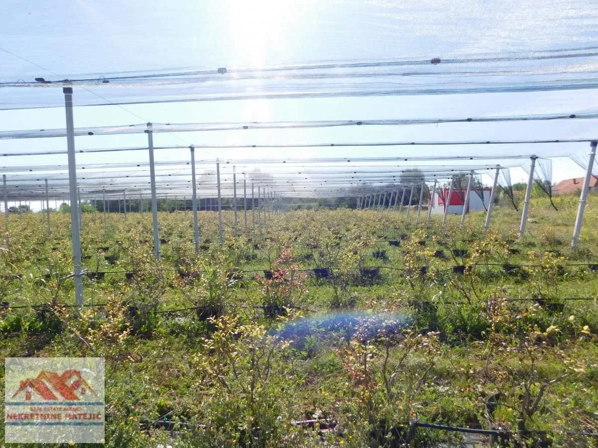 Prodaja, plac, 350m², Kragujevac, Srbija