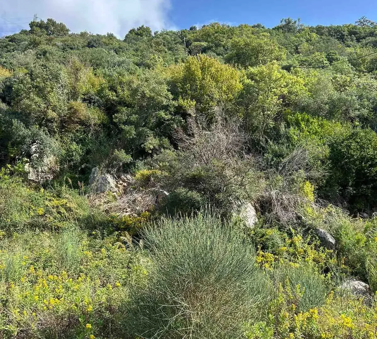 Prodaja, plac, 4500m², Kotor, Crna Gora