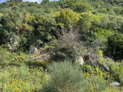 Prodaja, plac, 4500m², Kotor, Crna Gora - image 8