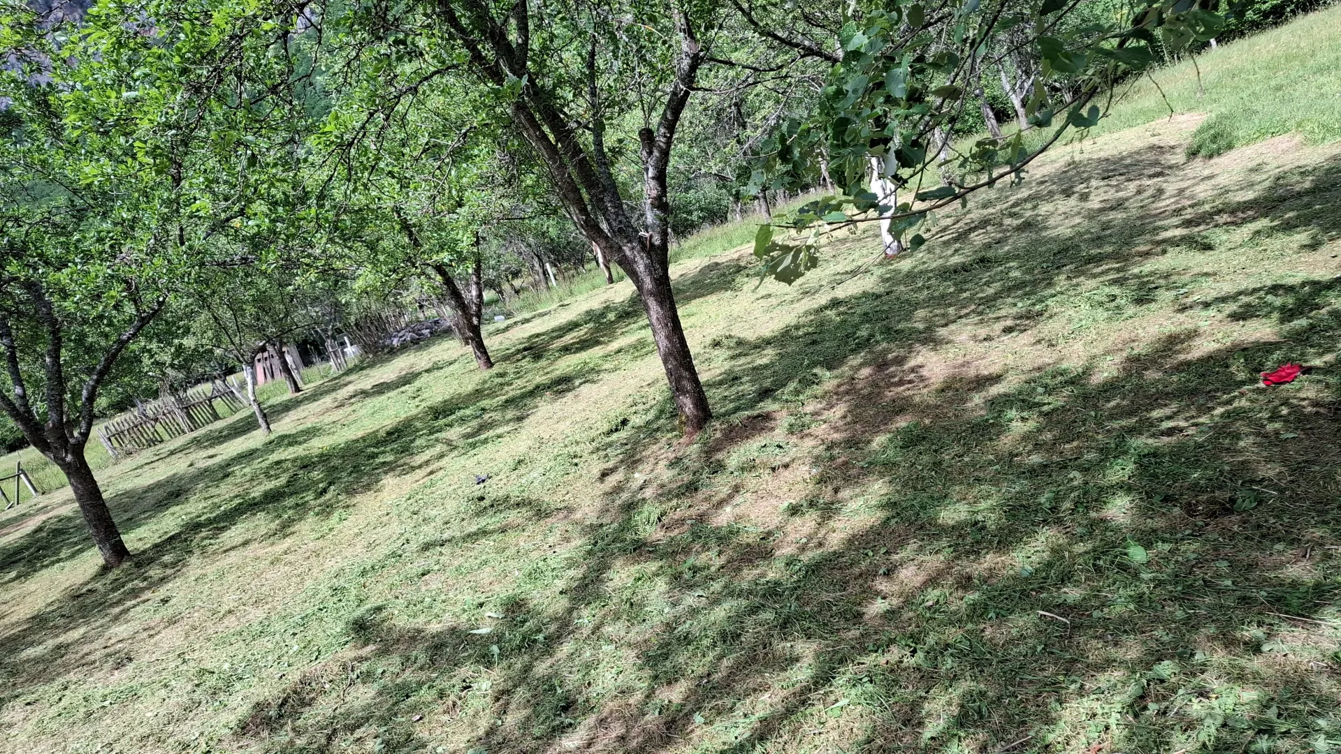Prodaja, plac, 4000m², Dobrilovina, Mojkovac