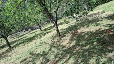 Prodaja, plac, 4000m², Dobrilovina, Mojkovac - image 16