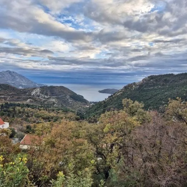 Prodaja, plac, 1500m², Markovići, Budva