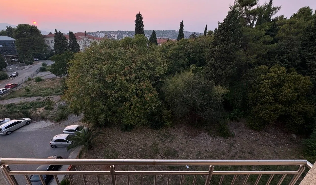 View from the terrace towards the surrounding greenery and the city in the distance.