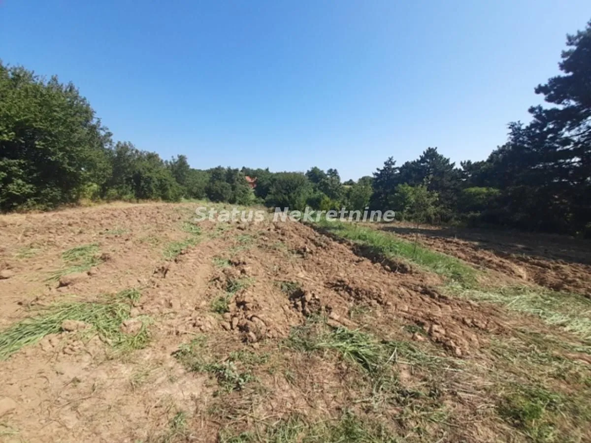 Prodaja, plac, 1500m², Inđija, Srbija