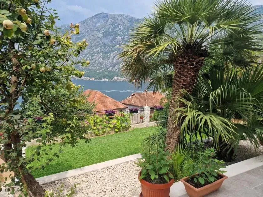 Uređeno dvorište sa palmom i pogledom na zaliv i planine.