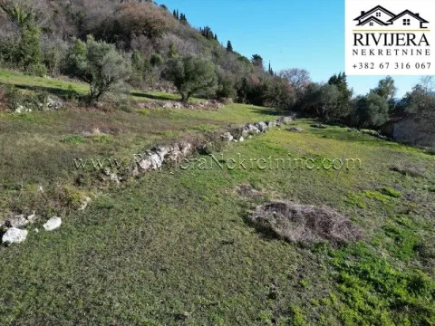 Sale, land lot, 2306m², Trebesinj, Herceg Novi - image 3
