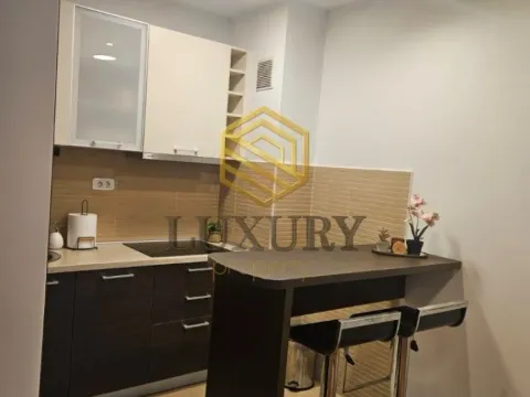 Izdavanje, jednosoban stan, 43m², Tološka šuma, Podgorica - image 6